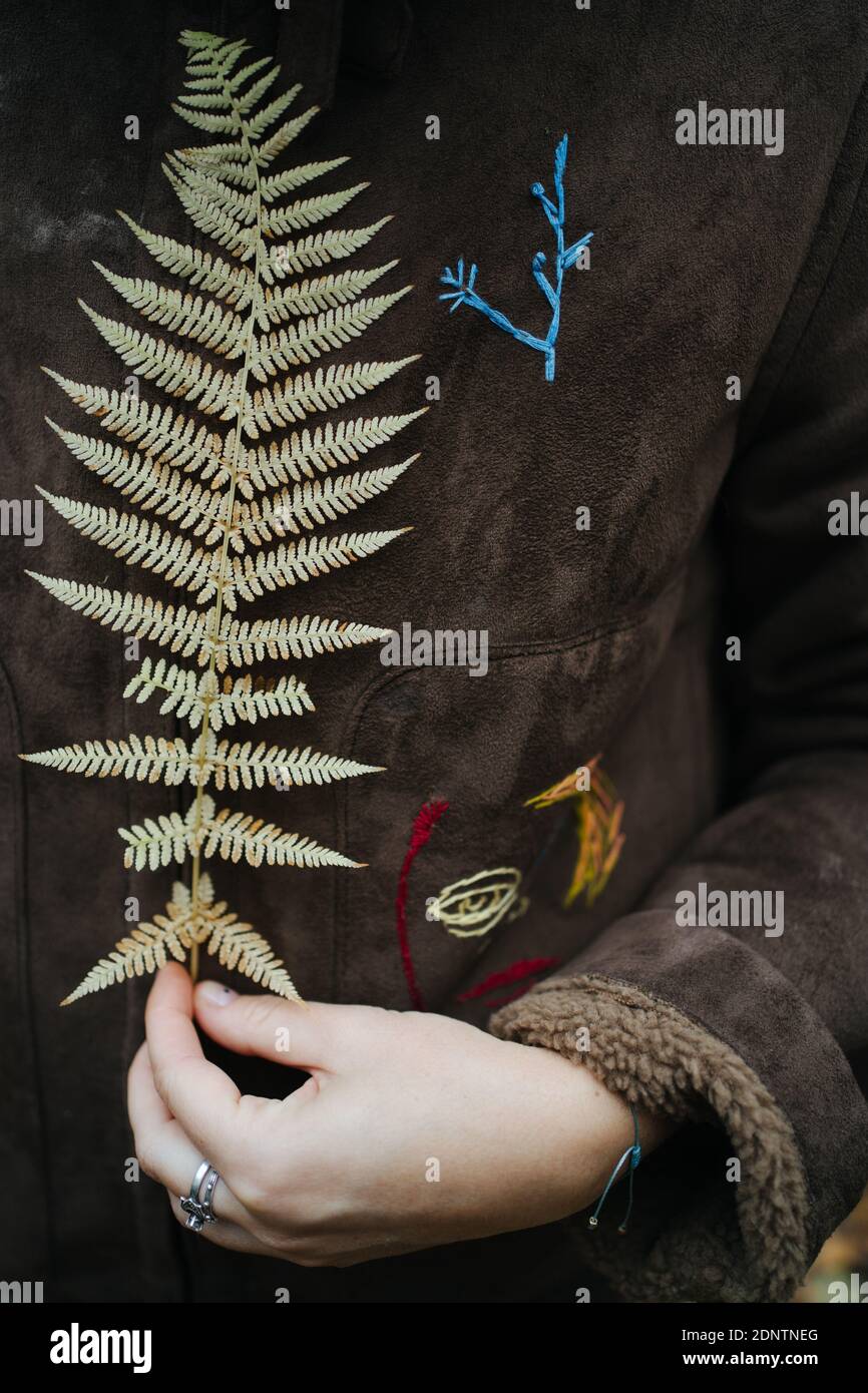 Primer plano de una mujer que sostiene un frente de helecho frente a su chaqueta, Rusia Foto de stock