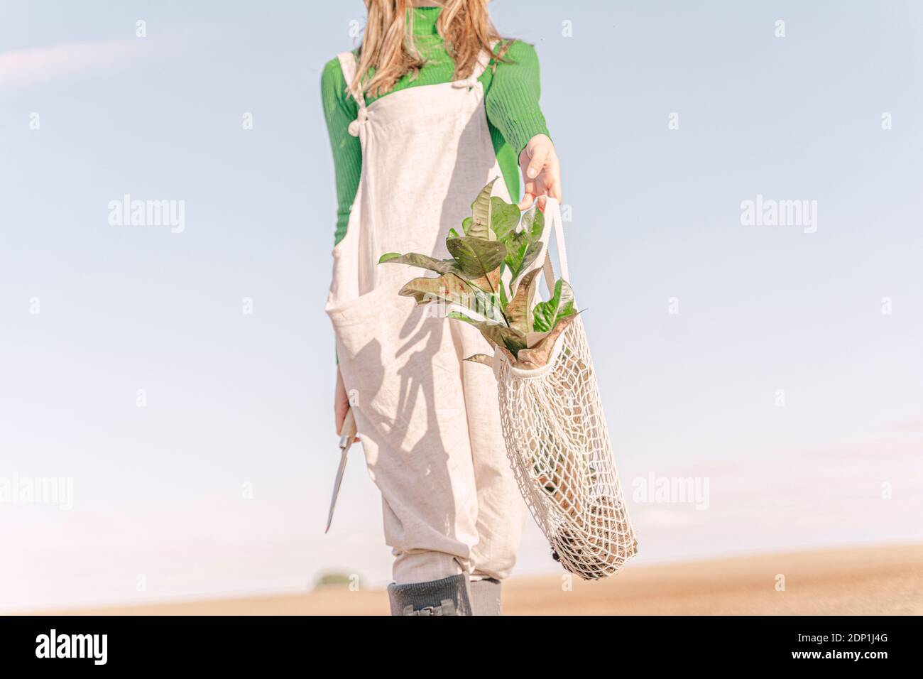 Mujer joven de pie sobre taburete en el campo seco, llevando la planta en una red Foto de stock