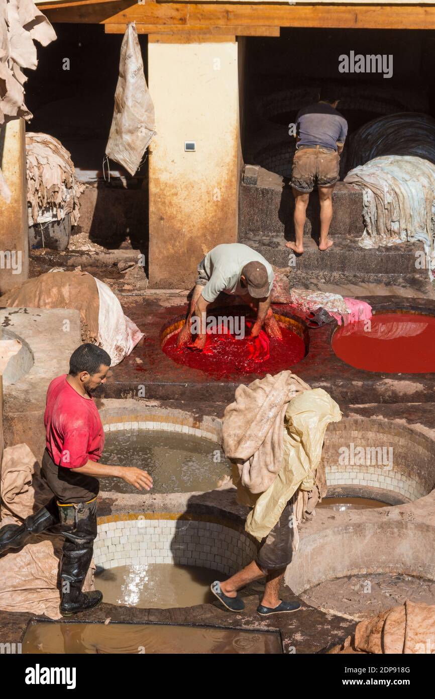 Curtiduría en Fez, Marruecos Foto de stock