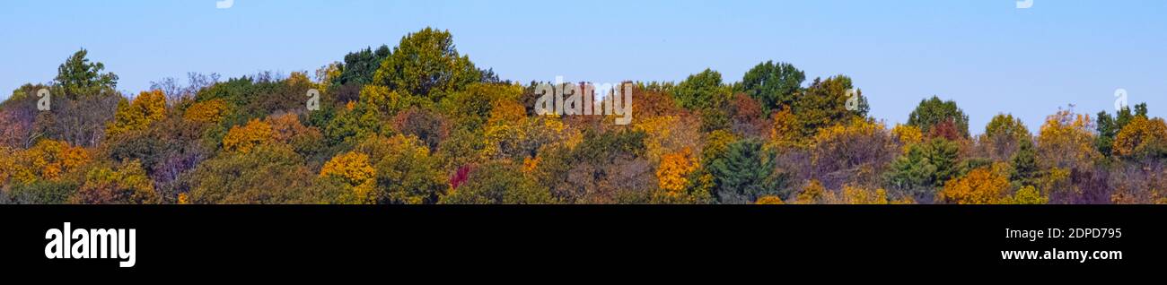 Color de otoño Foto de stock
