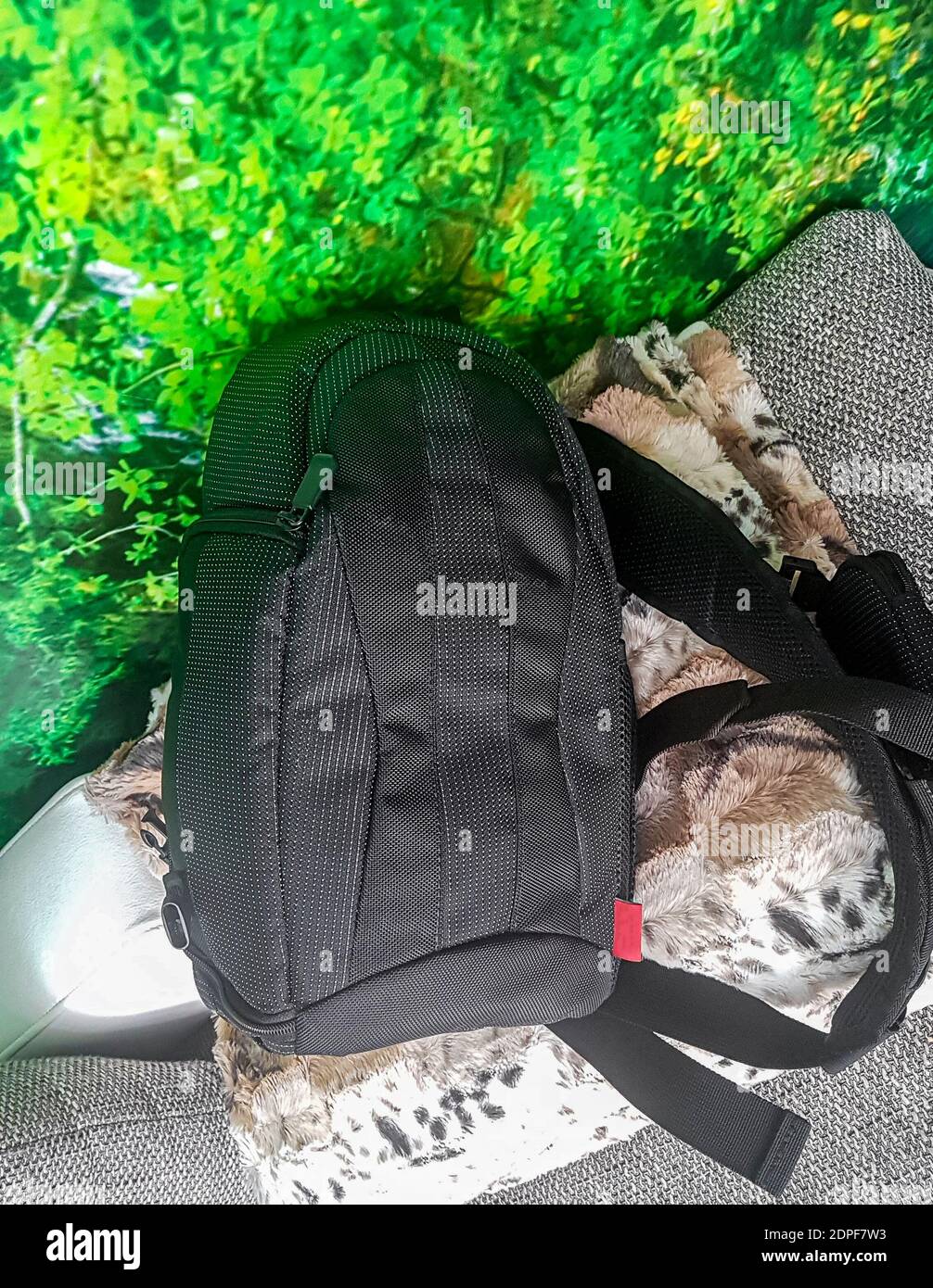 Mochila de viaje negra pequeña o bolsa de cámara para viajes cortos en un  sofá gris Fotografía de stock - Alamy