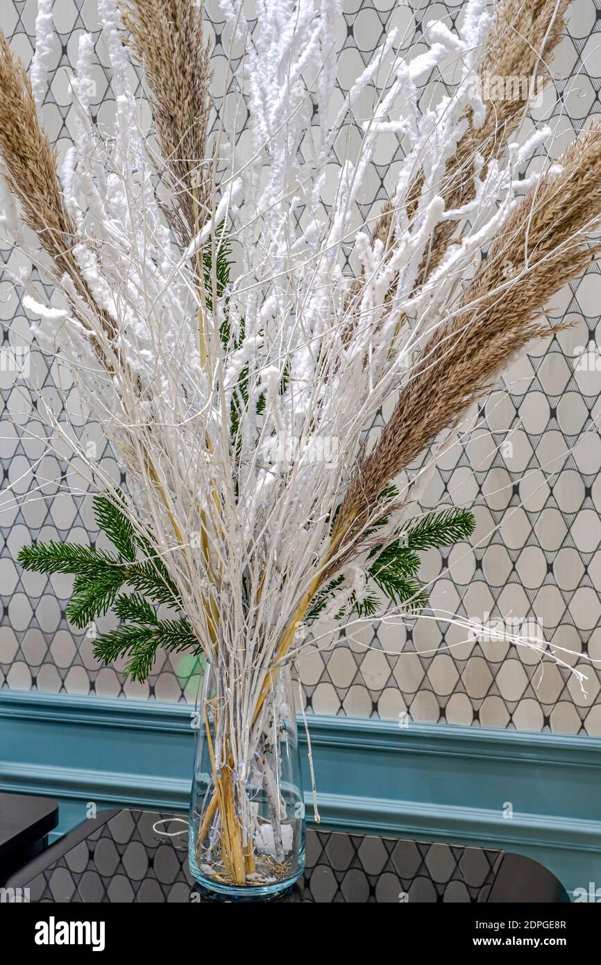 Hermosa composición de Navidad de invierno con césped de pampas y ramas  secas decoradas con nieve artificial blanca y una pequeña luz azul  brillante. Condición alta Fotografía de stock - Alamy