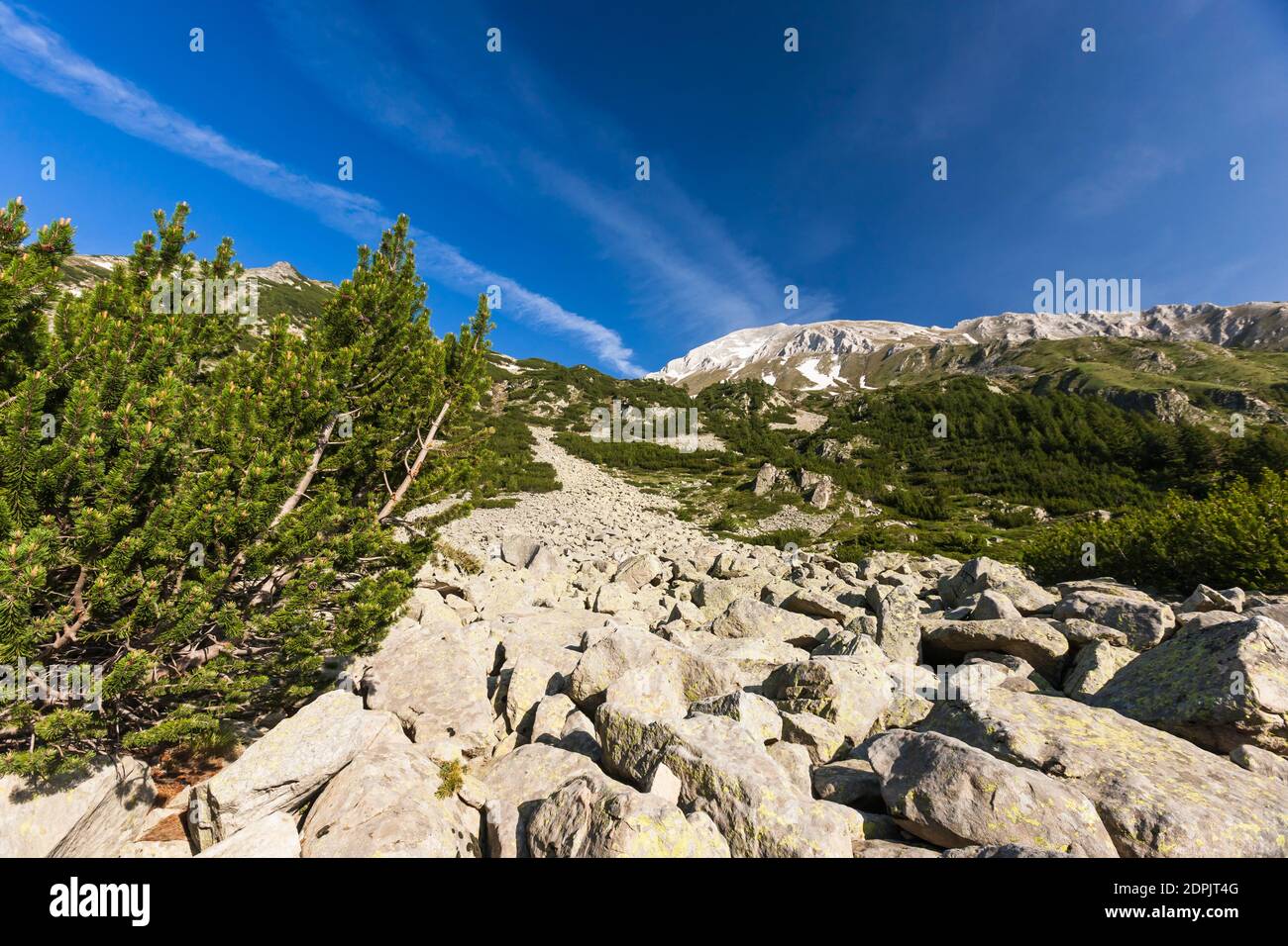 Parque Nacional Pirin, montañas de Vihren con pino enano, cerca de Vihren Chalet, suburbio de Bansko, Provincia de Blagoevgrad, Bulgaria, Sudeste de Europa, Europa Foto de stock