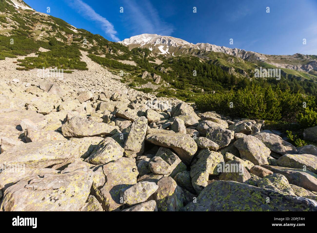 Parque Nacional Pirin, montañas de Vihren con pino enano, cerca de Vihren Chalet, suburbio de Bansko, Provincia de Blagoevgrad, Bulgaria, Sudeste de Europa, Europa Foto de stock