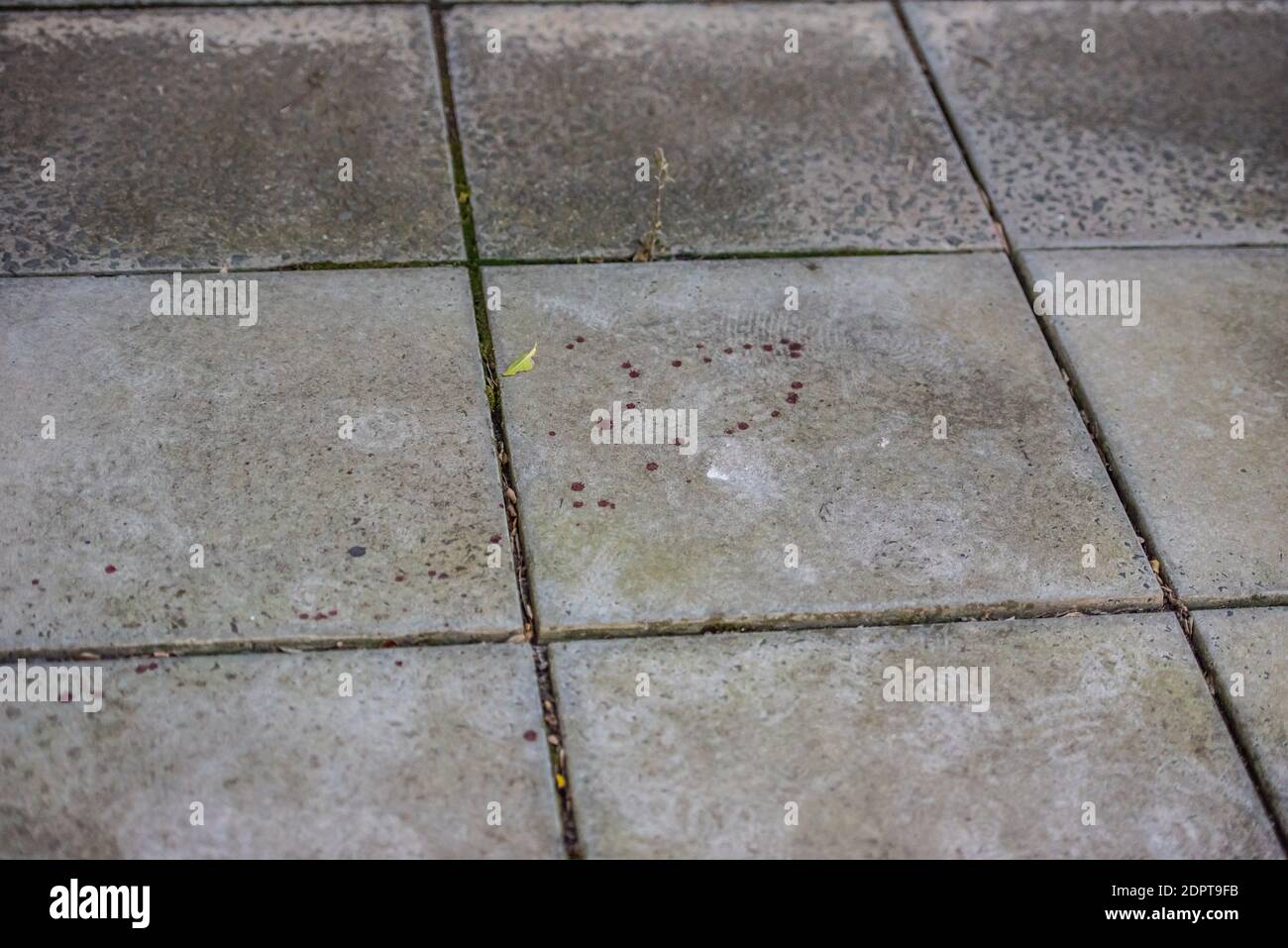 Melbourne, Australia. 19 de diciembre de 2020. Quedan marcas de sangre en la carretera de ladrillo en un callejón cerca del famoso lugar nocturno.SE encontró A un hombre con graves lesiones en las manos y después de una investigación policial se encontró que era un "incidente médico" donde las lesiones eran informes de la policía autoinfligidos. Crédito: SOPA Images Limited/Alamy Live News Foto de stock