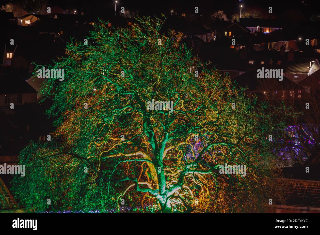 Iglesia Baptice y el árbol de la vida en la plaza con luces de colores que lo iluminan Foto de stock