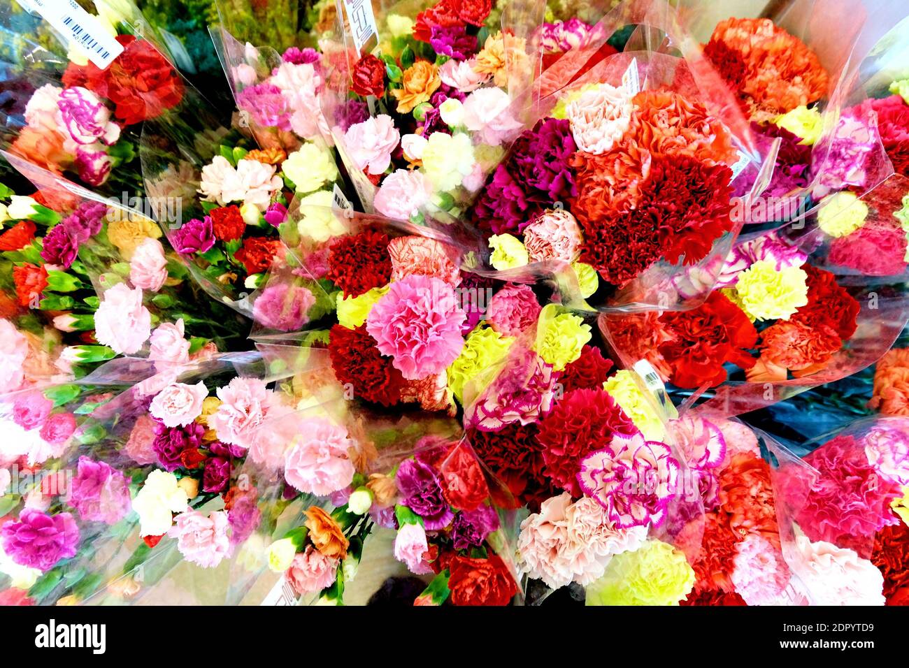 Que Significado Tiene Esta Flor Fotos e Imágenes de stock - Alamy