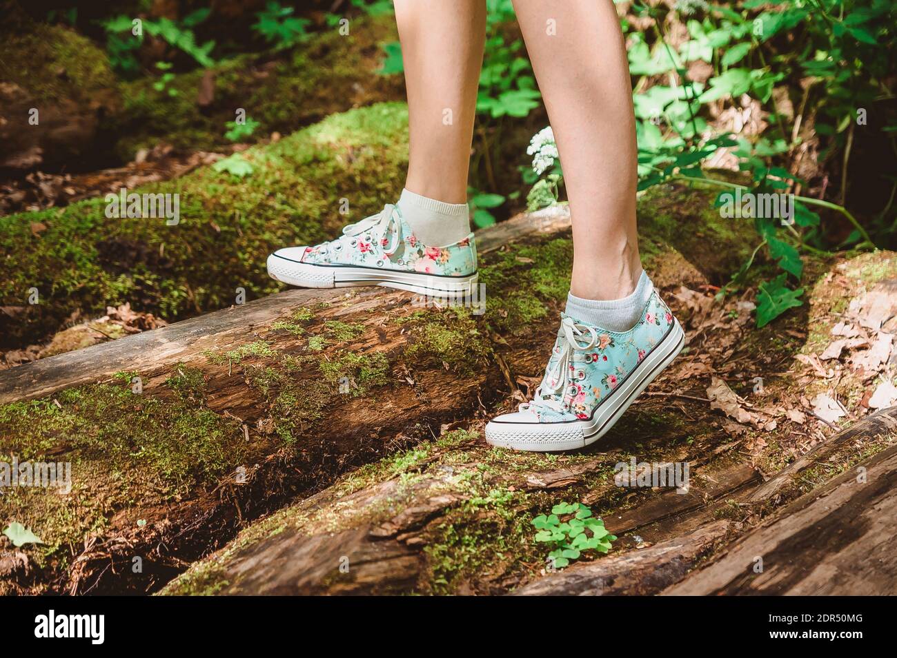 Una chica los Sneakers camina en los registros en Mosses a través de la corriente. Pies en primer plano Tome un en puente Fotografía de stock - Alamy