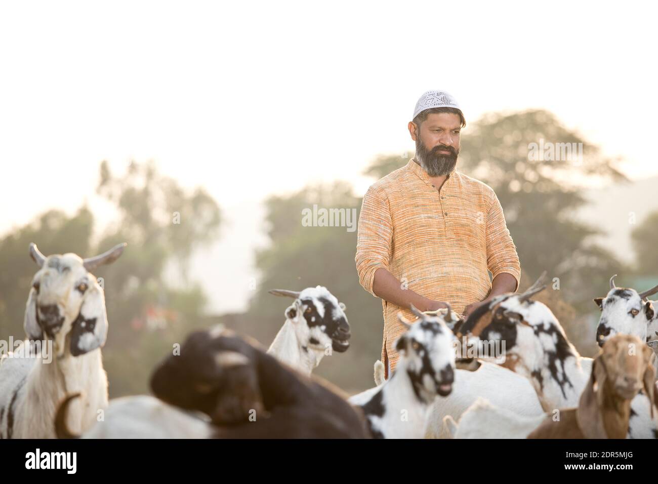 Pastor musulmán con rebaño de cabra en el campo Foto de stock