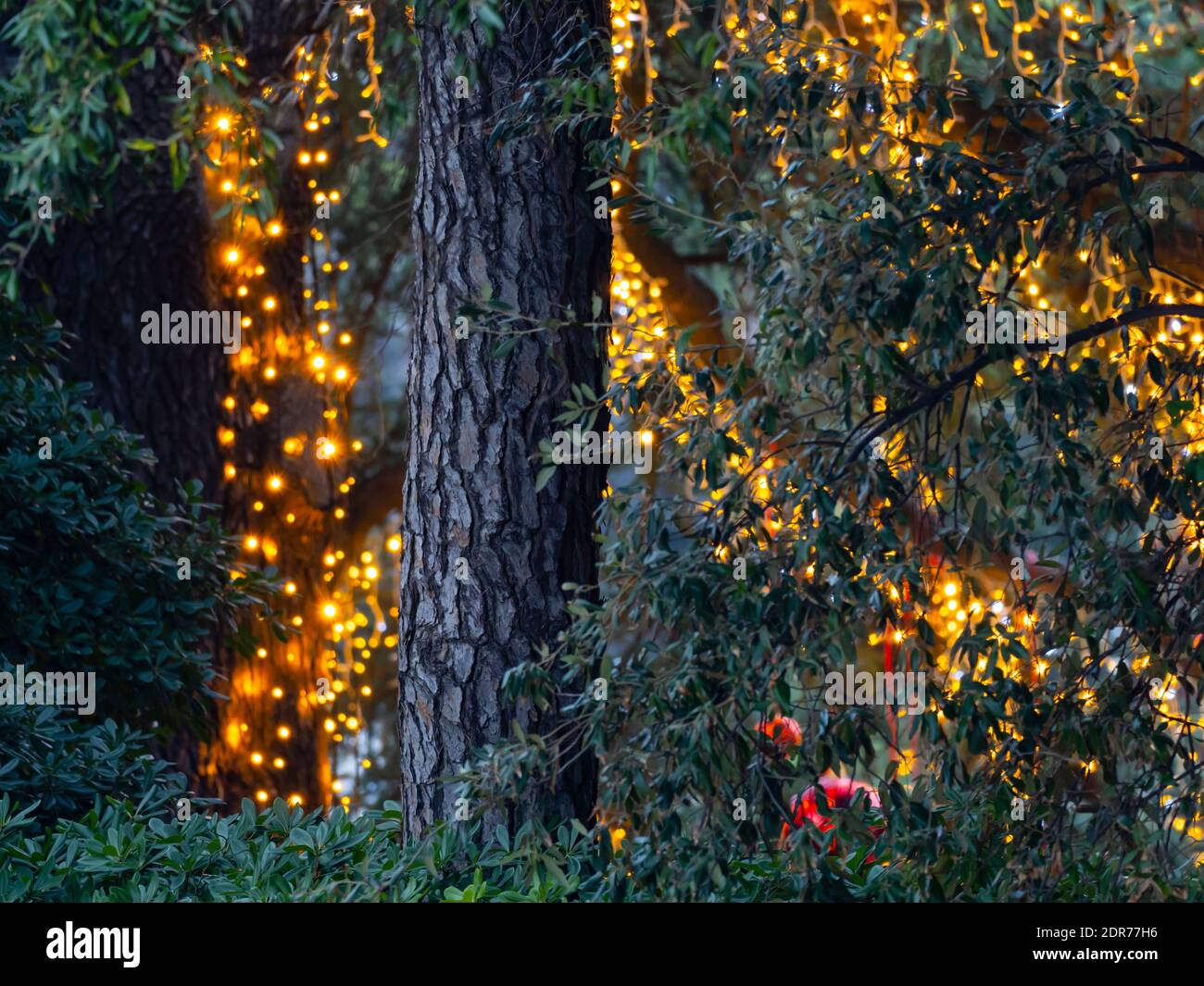Iluminación de Adviento en Opatija en Croacia Bahía de Kvarner Europa Foto de stock