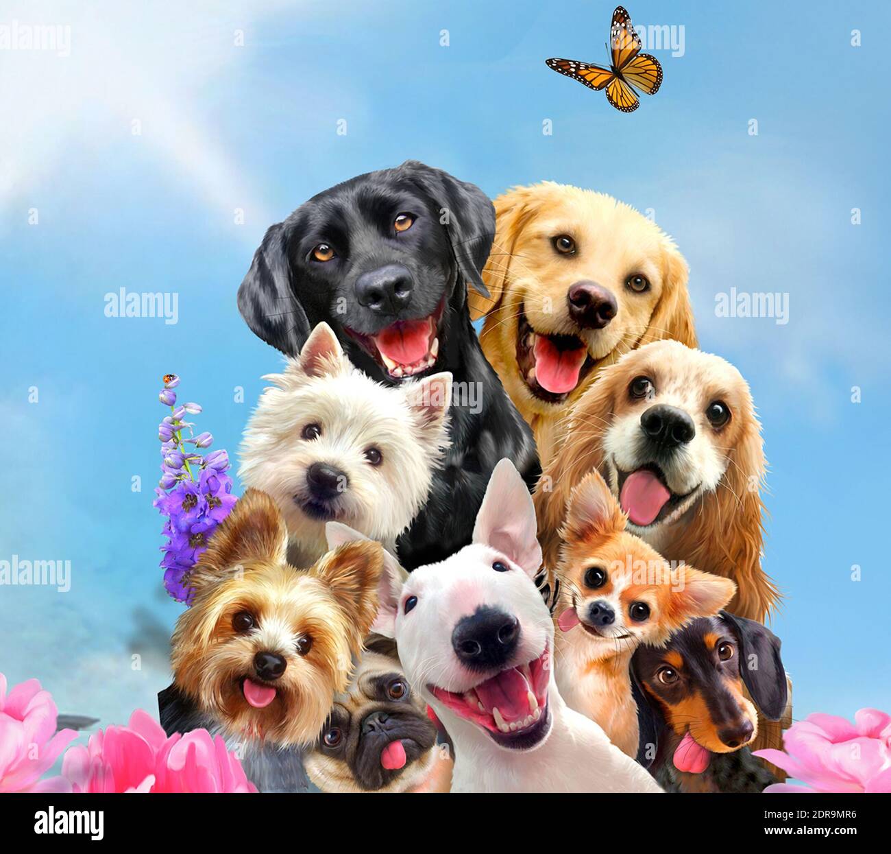 Retrato de perros contra el cielo azul Fotografía de stock - Alamy