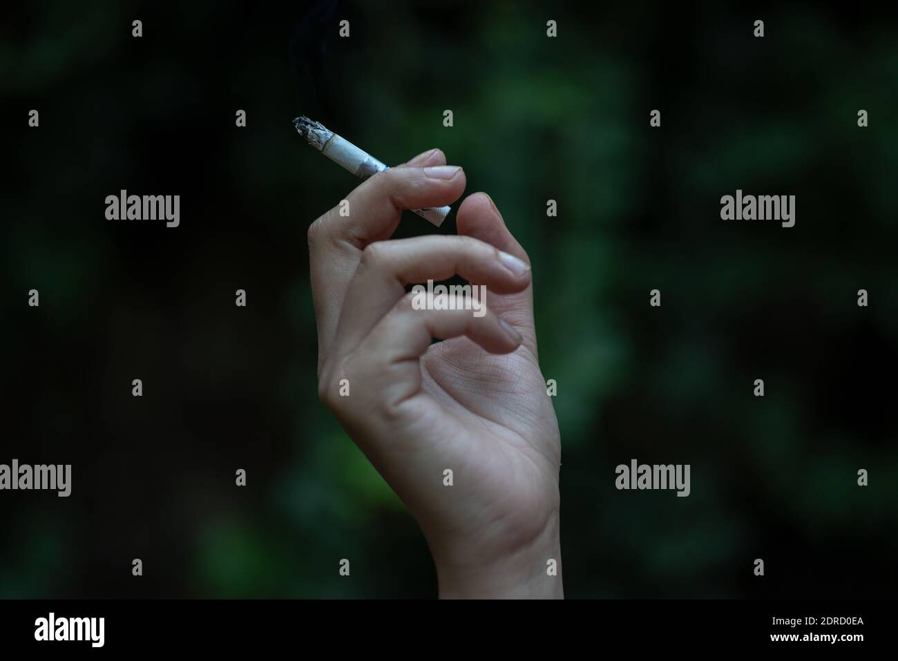 Primer plano de la mano sosteniendo el cigarrillo contra los árboles Foto de stock