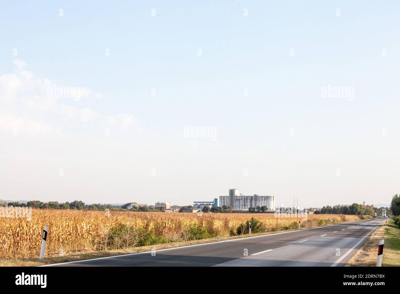 Cornfilleds, secada, tomada en las llanuras con un silo de grano industrial  de una planta de producción agroindustrial, en Voivodina, la más rural y  agrícola Fotografía de stock - Alamy
