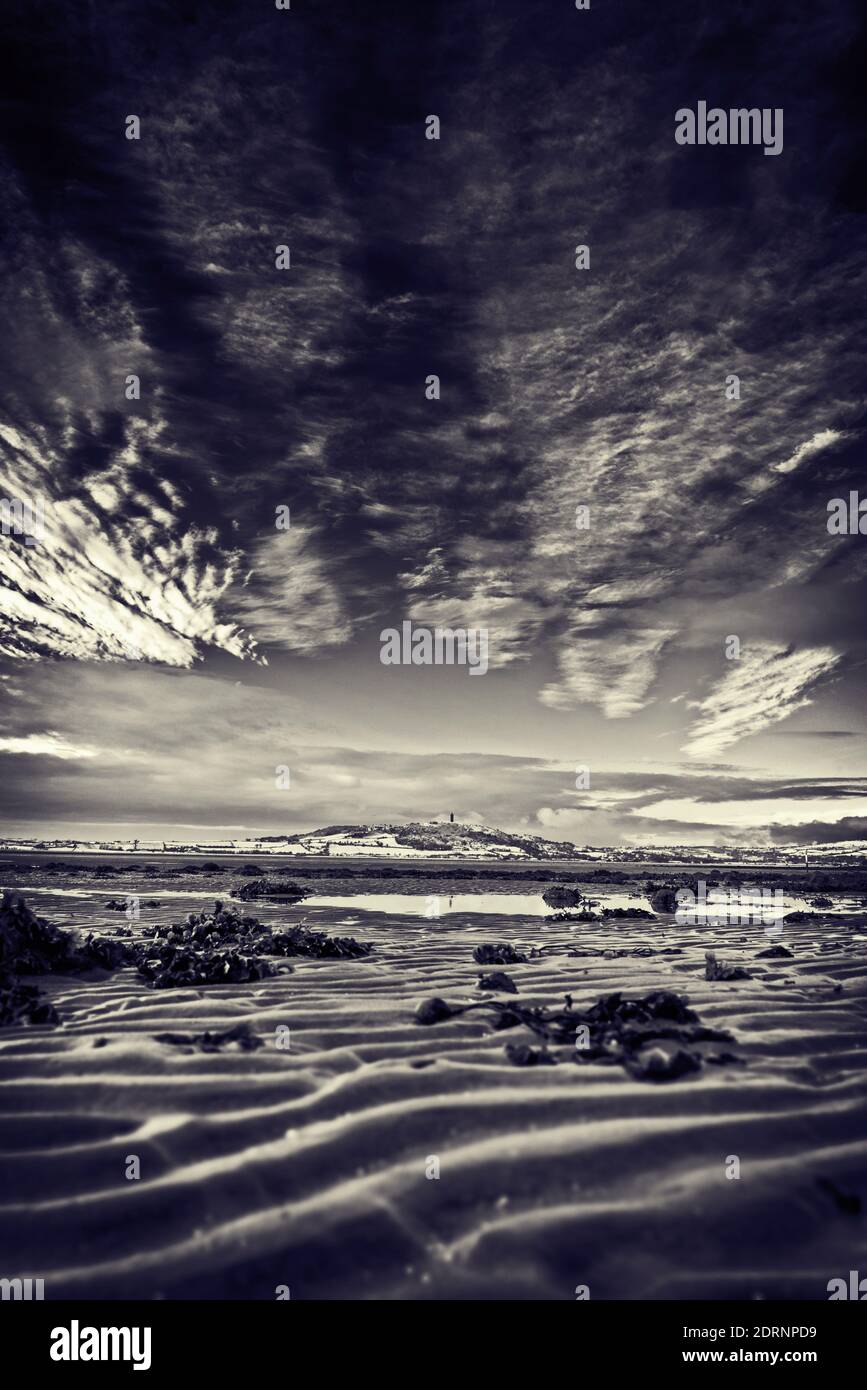 En la cima de la colina de Scrabo Scrabo Tower vistos en Strangford Lough en la marea baja en el Ards Peninsula, Condado de Down, Irlanda del Norte Foto de stock