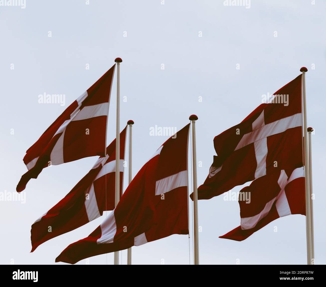 Vista en ángulo bajo de las banderas danesas contra el cielo Foto de stock