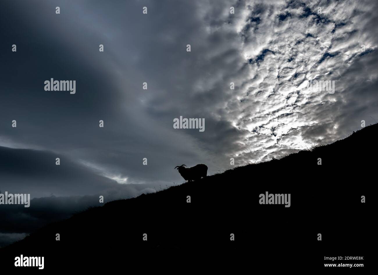 Las nubes de ovejas y tormentosas se alzarán en la montaña Croagh Patrick en Mayo, Irlanda Foto de stock