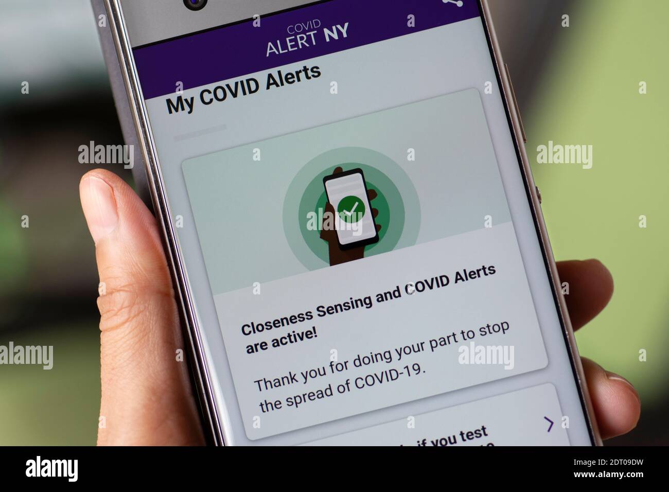 COVID Alert NY App en el teléfono móvil, pantalla del smartphone Foto de stock