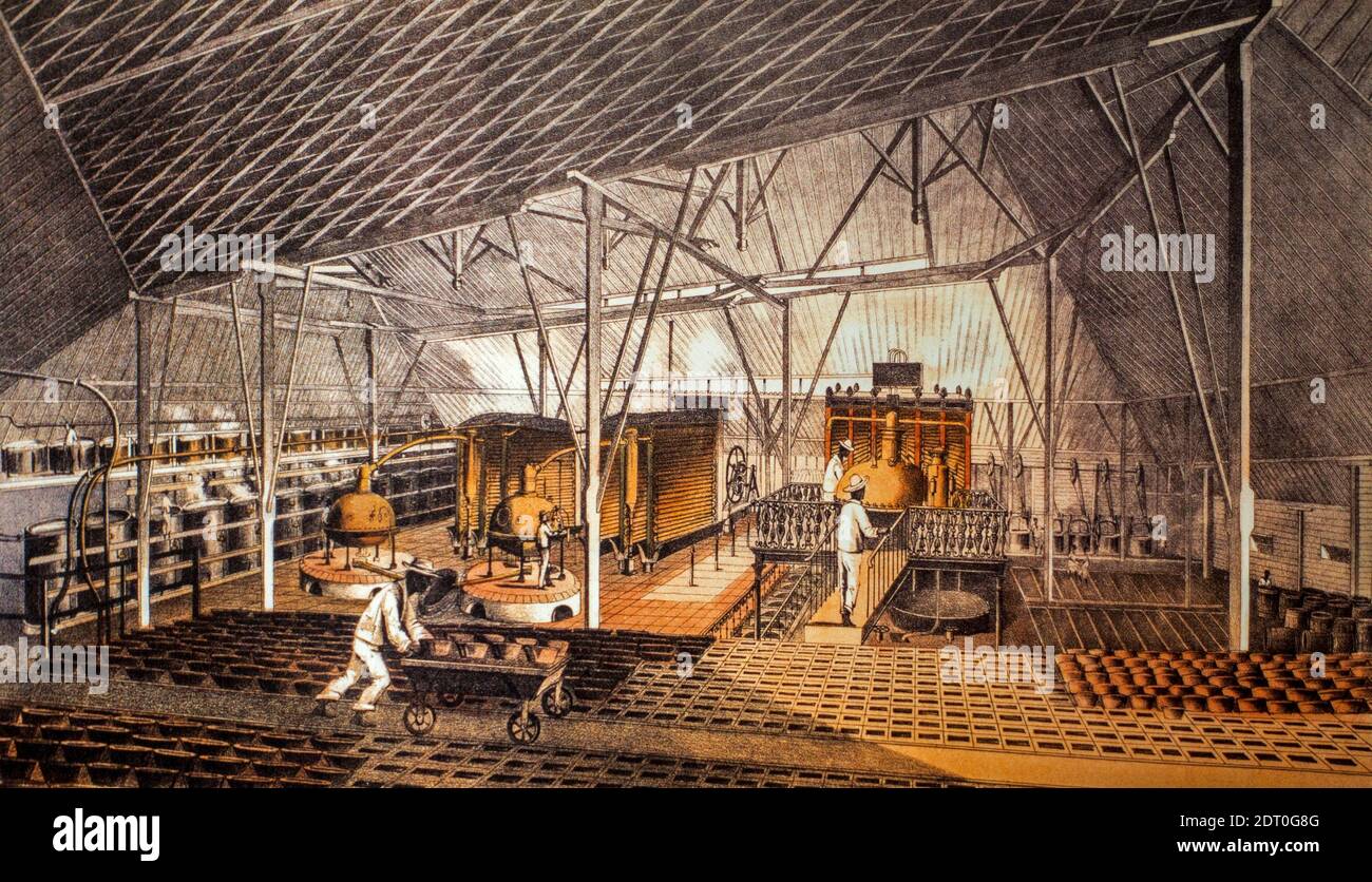 1856 litografía que muestra esclavos africanos y trabajadores asalariados chinos que trabajan en la fábrica de azúcar la Ponina cerca de Cárdenas, Cuba Foto de stock