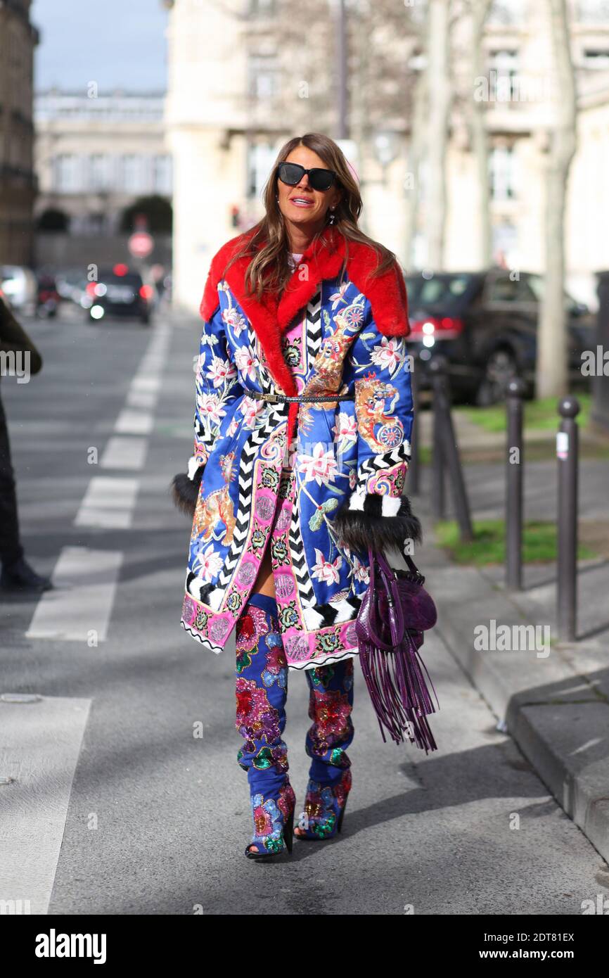 Anna Dello Russo llegada a Dior Otoño/Invierno 2014-2015 Listo para llevar  espectáculo celebrado en el Musee Rodin, París, Francia, el 28 de febrero  de 2014. Ella está usando Tom Ford abrigo y