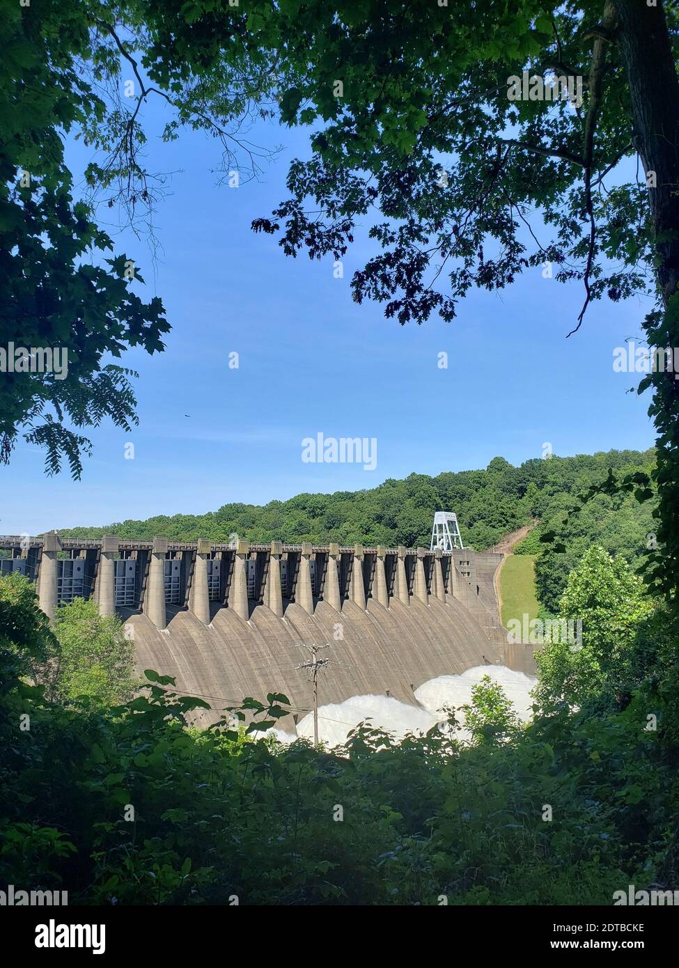 Conservación del agua, árboles y plantas contra el cielo Fotografía de  stock - Alamy