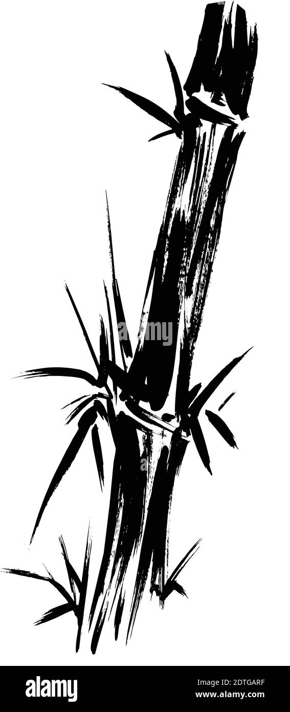 Dibujo Silhouette de bambú aislado sobre fondo blanco. Ilustración de  vector en capas fácil de editar Imagen Vector de stock - Alamy