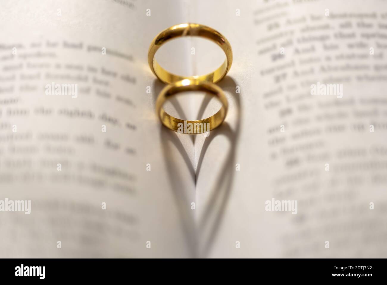 Anillos de compromiso segun la biblia sale