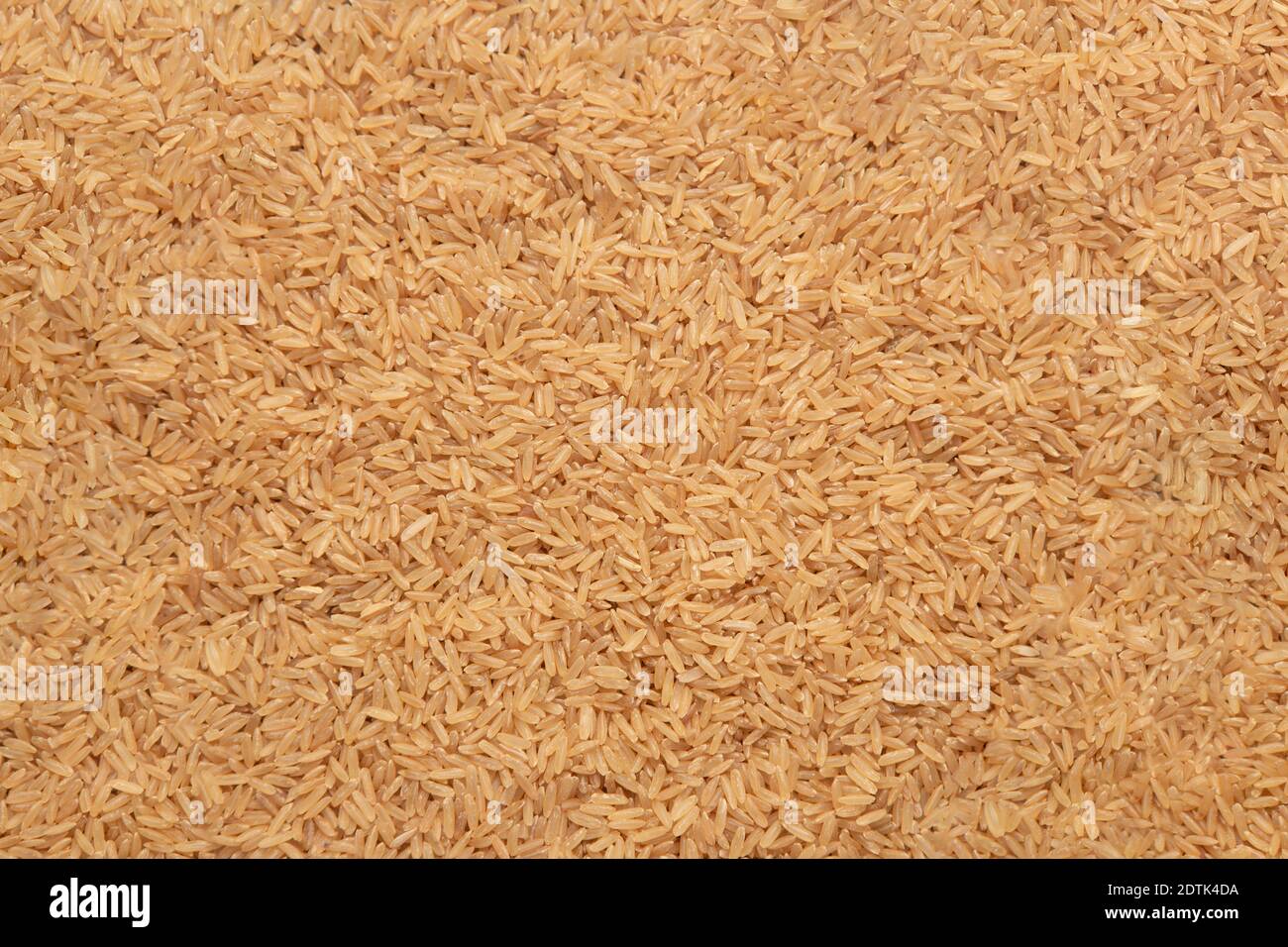 Antecedentes el arroz. Foto de stock