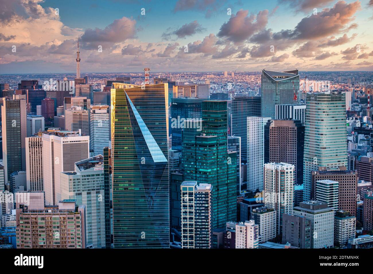 Japón, Ciudad de Tokio, horizonte de Minato Ku, Torre de Tokio Foto de stock