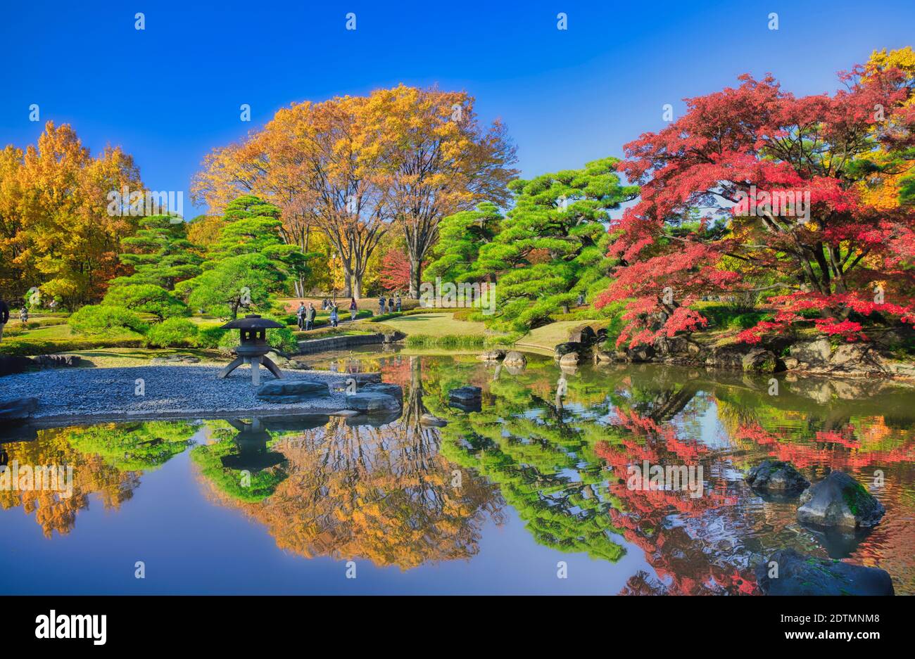 Japón, Ciudad de Tokio, Chiyoda Ku, Jardines del Palacio Imperial Foto de stock