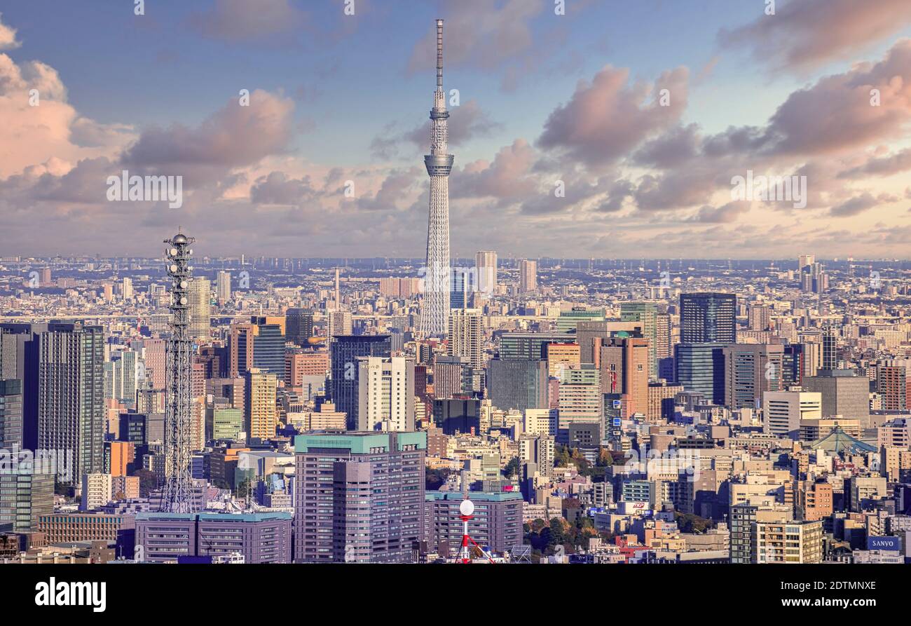 Japón, Tokio City, Sky Tree Tower Foto de stock