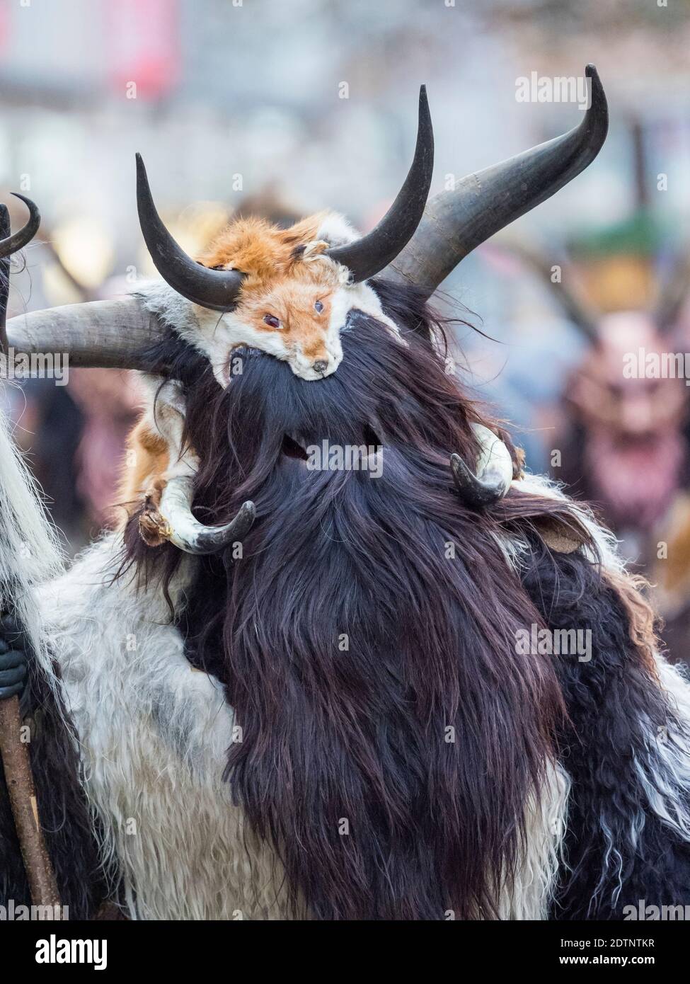 Krampuslauf o Perchtenlauf durante el advenimiento en Munich, una antigua tradición alpina que tiene lugar durante la época de Navidad en Baviera, Austria y Tirol del Sur. Foto de stock