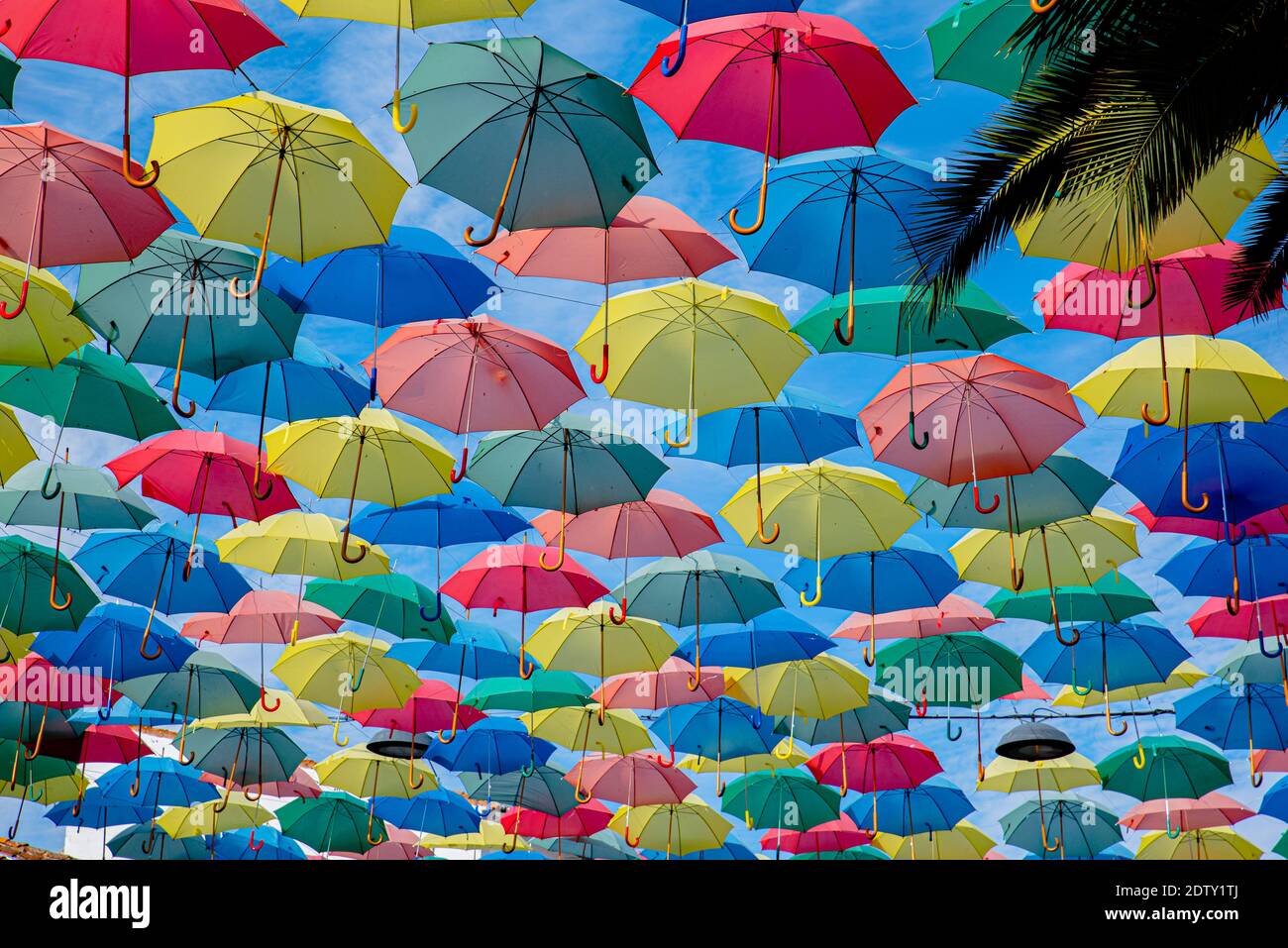 Paraguas de en el Fotografía de stock - Alamy