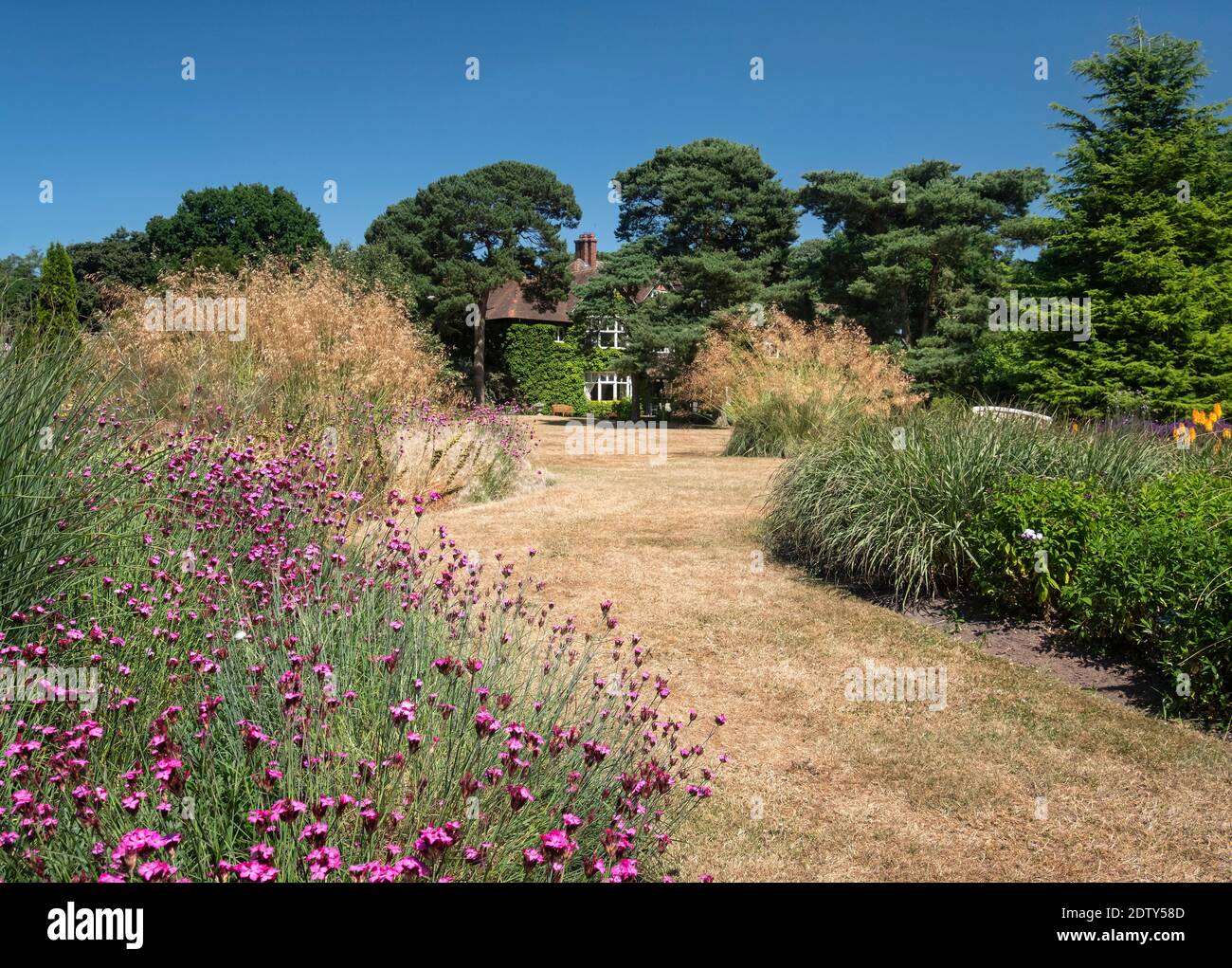 Abbeywood Gardens en verano, cerca de Delamere, Cheshire, Inglaterra, Reino Unido Foto de stock