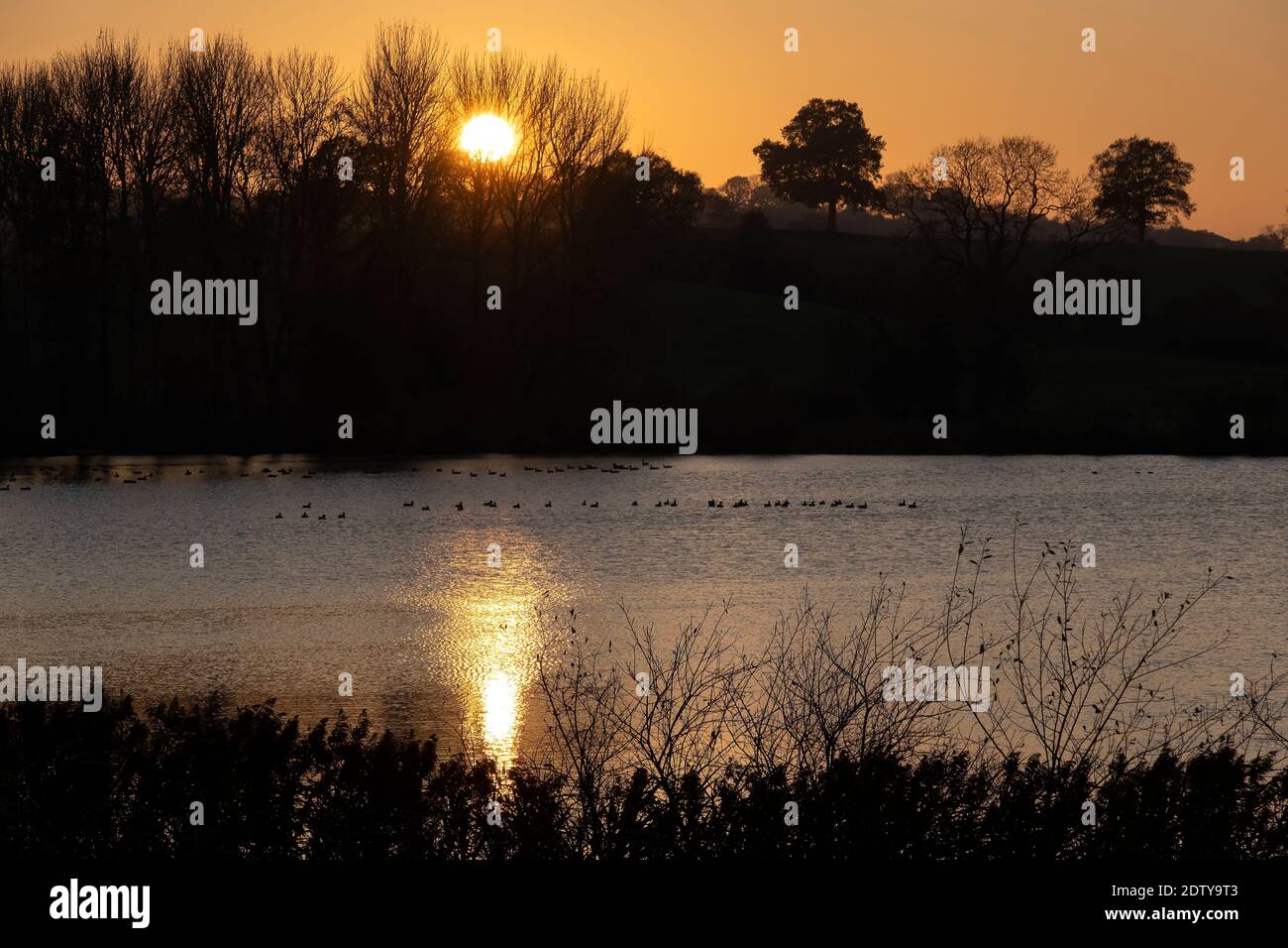 Puesta de sol sobre Big Mere, Marbury, Cheshire, Inglaterra, Reino Unido Foto de stock