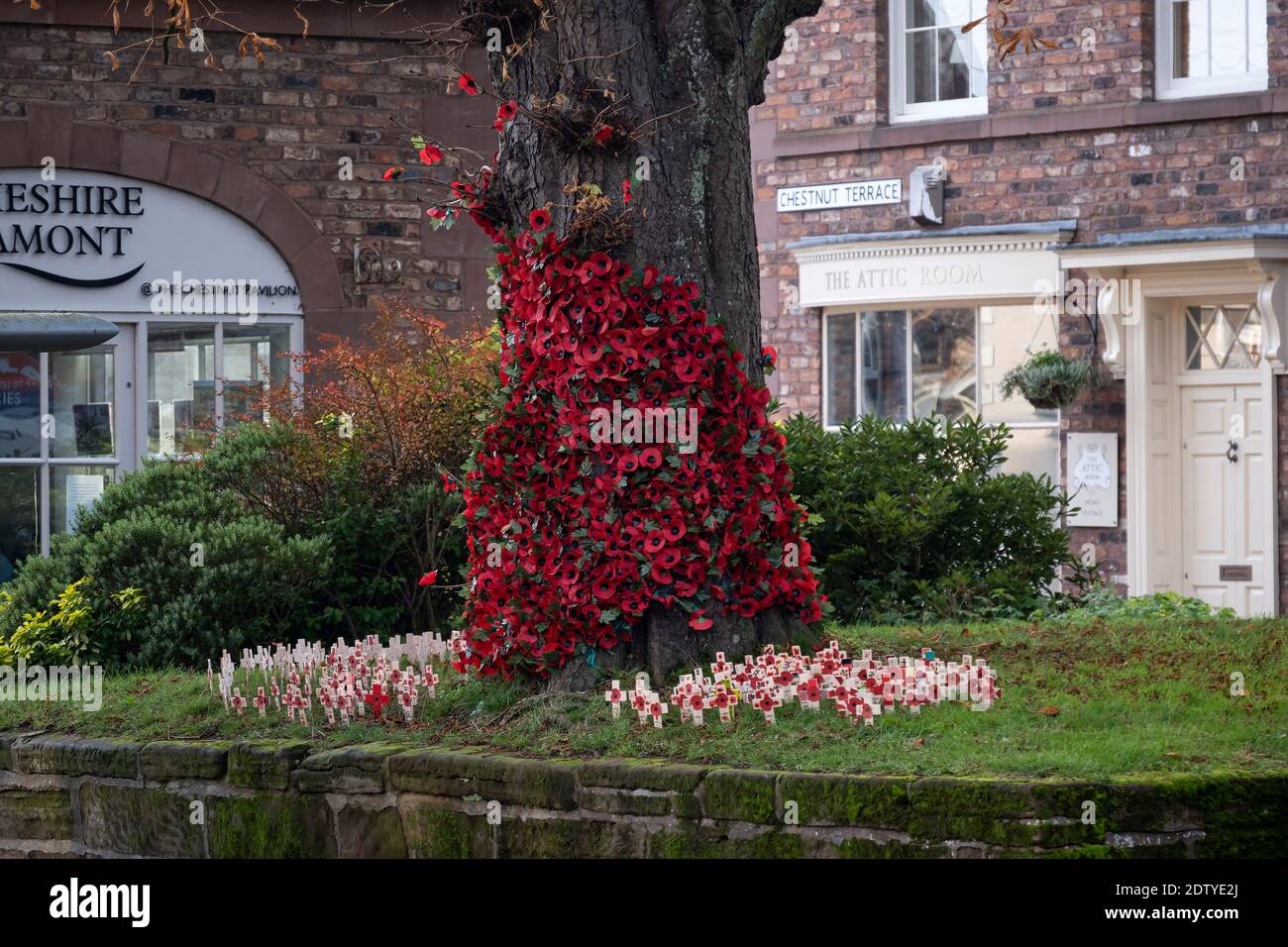 Celebraciones del Día del Recuerdo en Tarporley Village, Taporley, Cheshire, Inglaterra, Reino Unido Foto de stock
