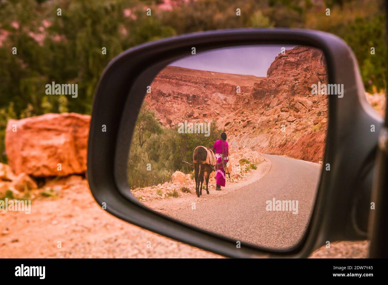 Vista trasera de la mujer con burro reflectante en espejo lateral  Fotografía de stock - Alamy