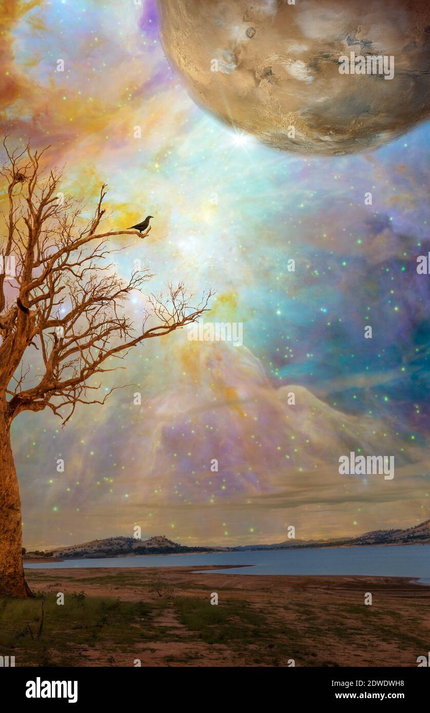 Alien Planet Fantasy Landscape para la portada del libro. Árbol cerca del lago con galaxia y estrellas en el cielo Fotografía de stock - Alamy