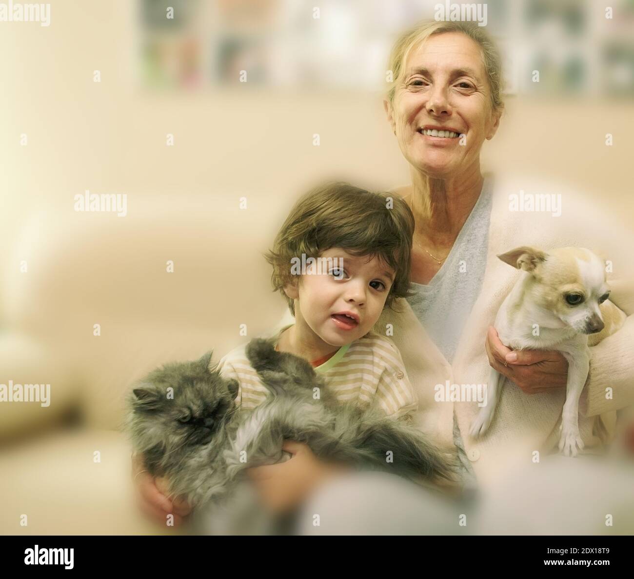 Retrato de la abuela sollotera con nieto y mascotas sentadas en casa  Fotografía de stock - Alamy