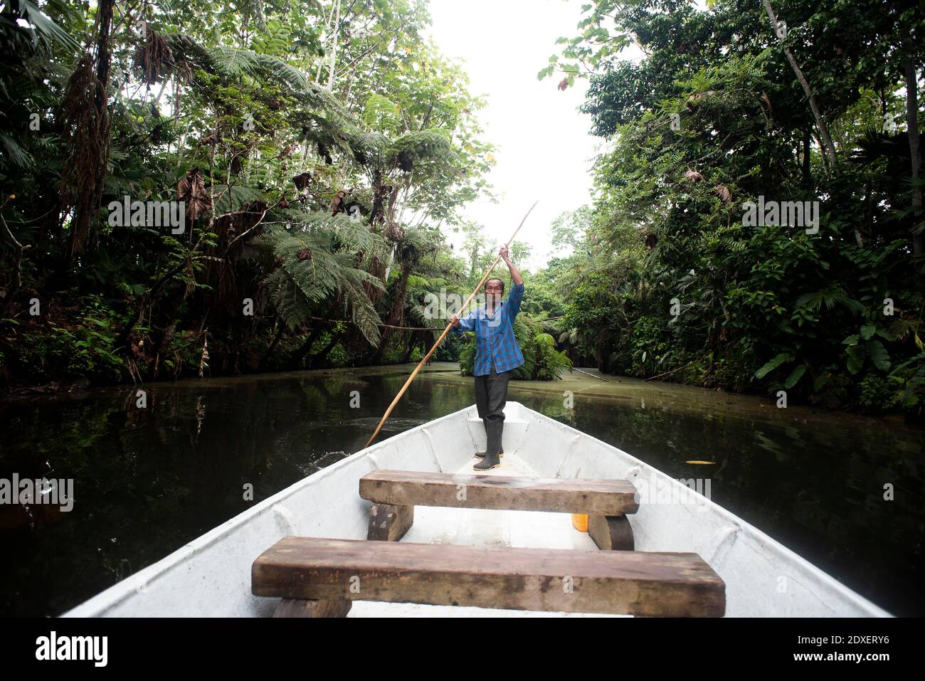 El mayor guaraní está en canoa en el río Napo, Ecuador Foto de stock