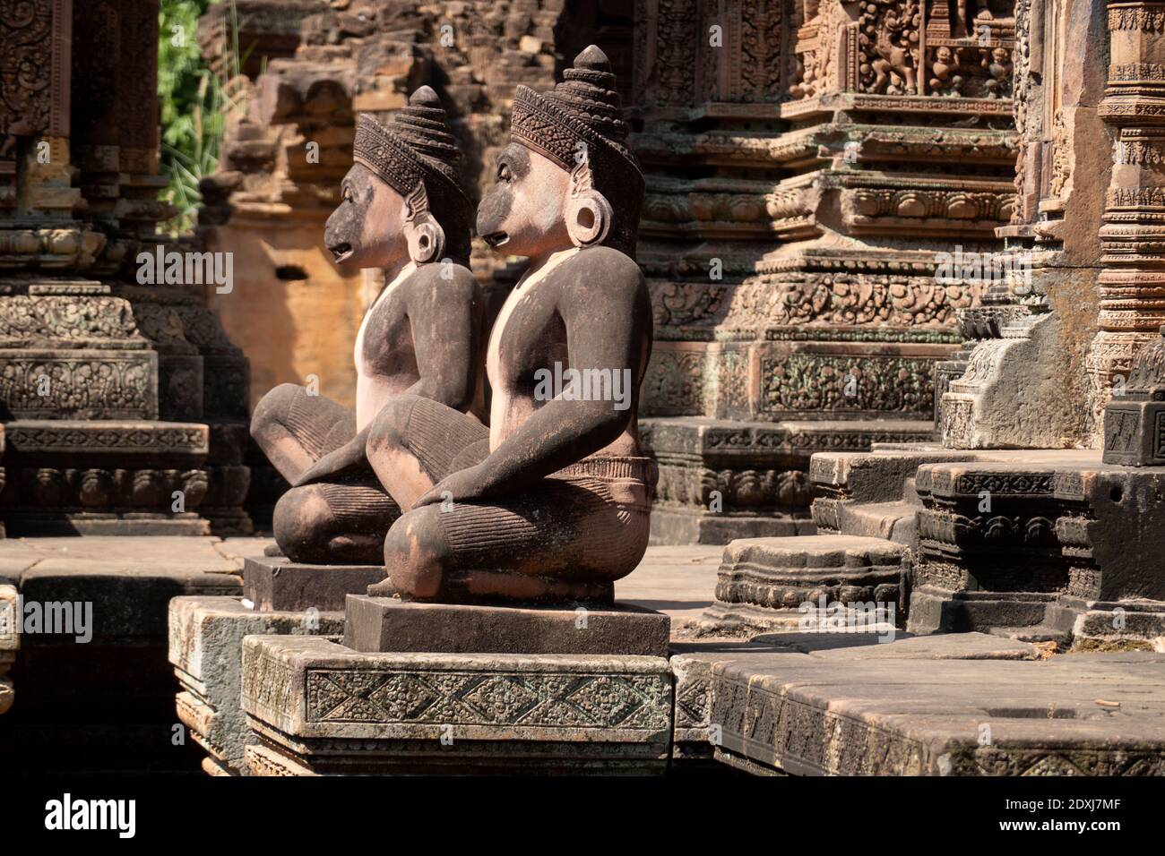 Estatuas de monos a la entrada de Banteay Srei Foto de stock