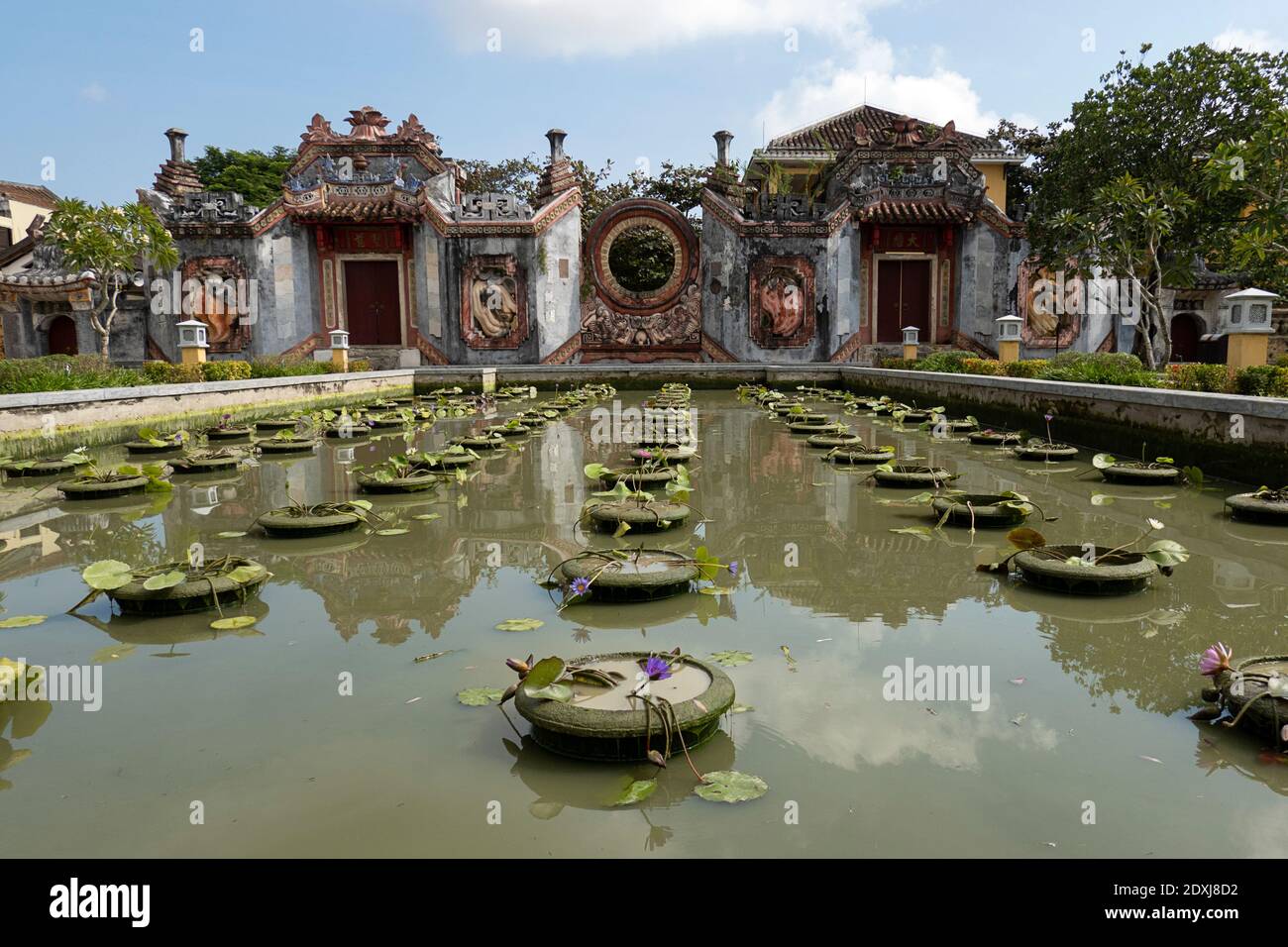 Lirios de agua en un estanque en UN templo budista Foto de stock