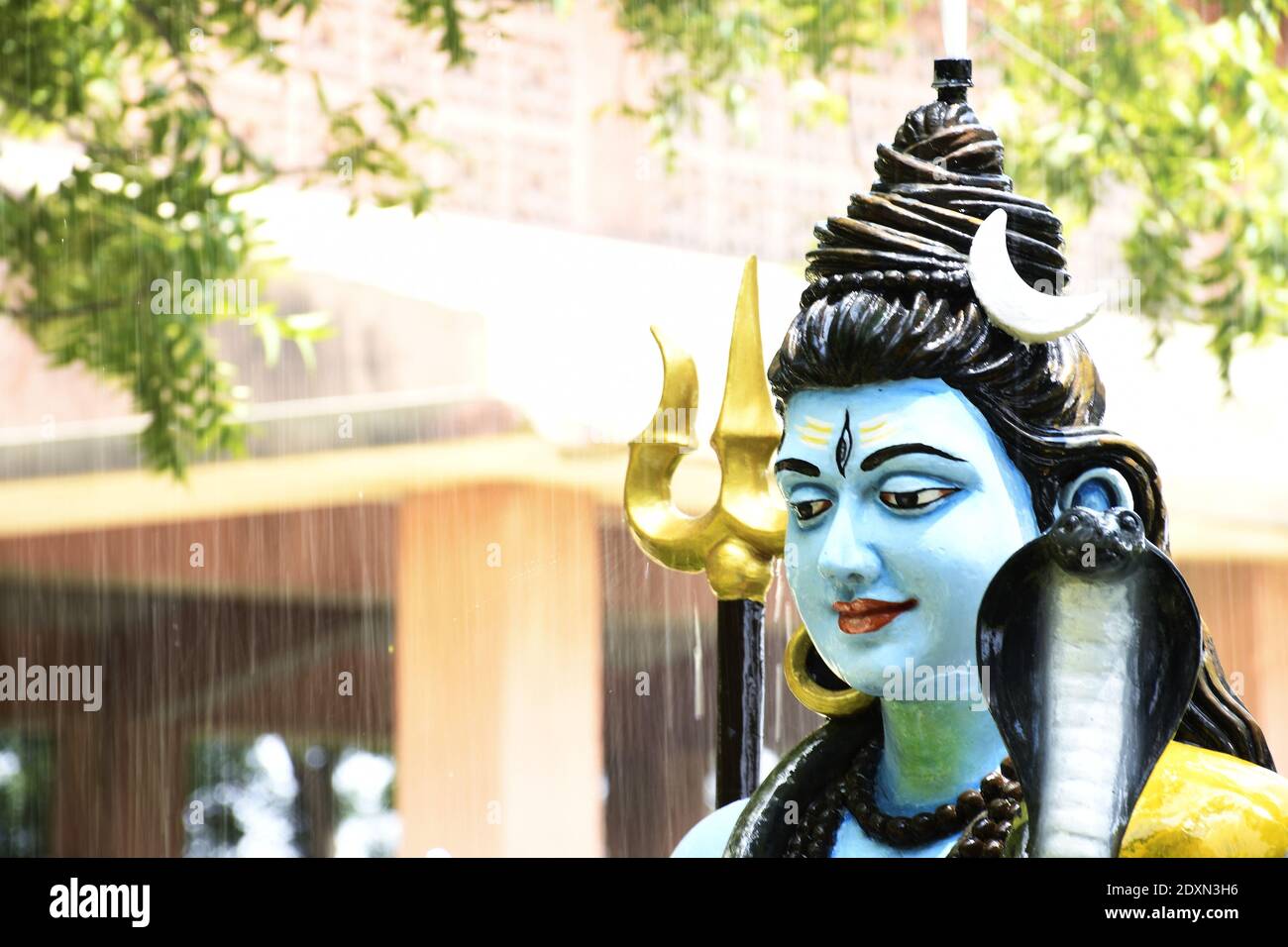 dios shiva thandavam fondo de pantalla