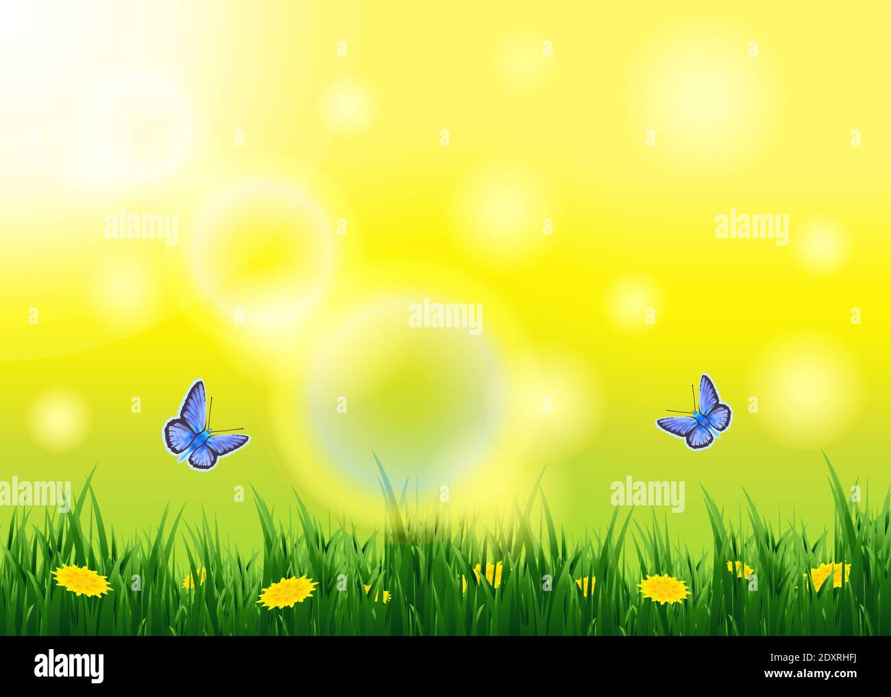 Paisaje soleado de verano con mariposas con césped y flores.vida de insectos en el prado. Ilustración del Vector