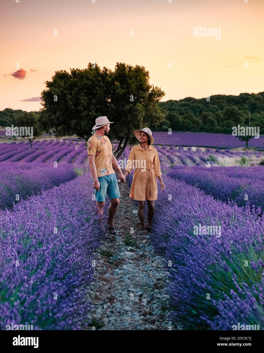 Productos para el cuidado de la salud con semillas de lavanda en un  recipiente Fotografía de stock - Alamy