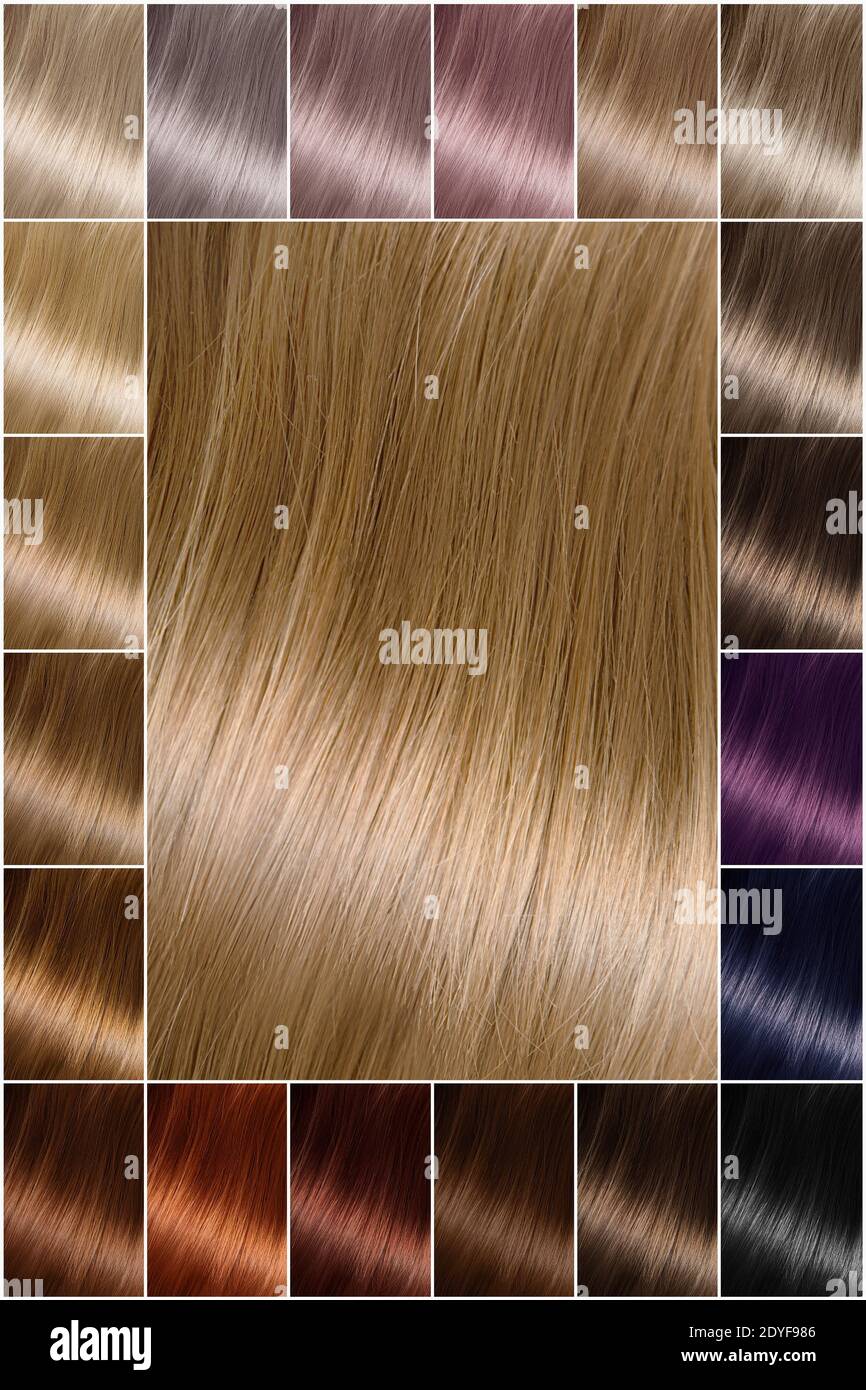 Tinte para el cabello. Paleta de colores pelo con una amplia gama de muestras que muestran muestras de color dispuestas en filas ordenadas en una postal. Impresión. Un juego de tintes