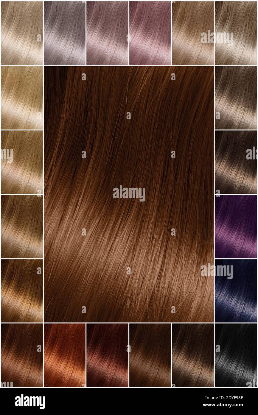 Tinte para el cabello para morena. Paleta de colores de pelo con una amplia  gama de muestras que muestran muestras de color dispuestas en filas  ordenadas en una postal. Impresión. Un conjunto