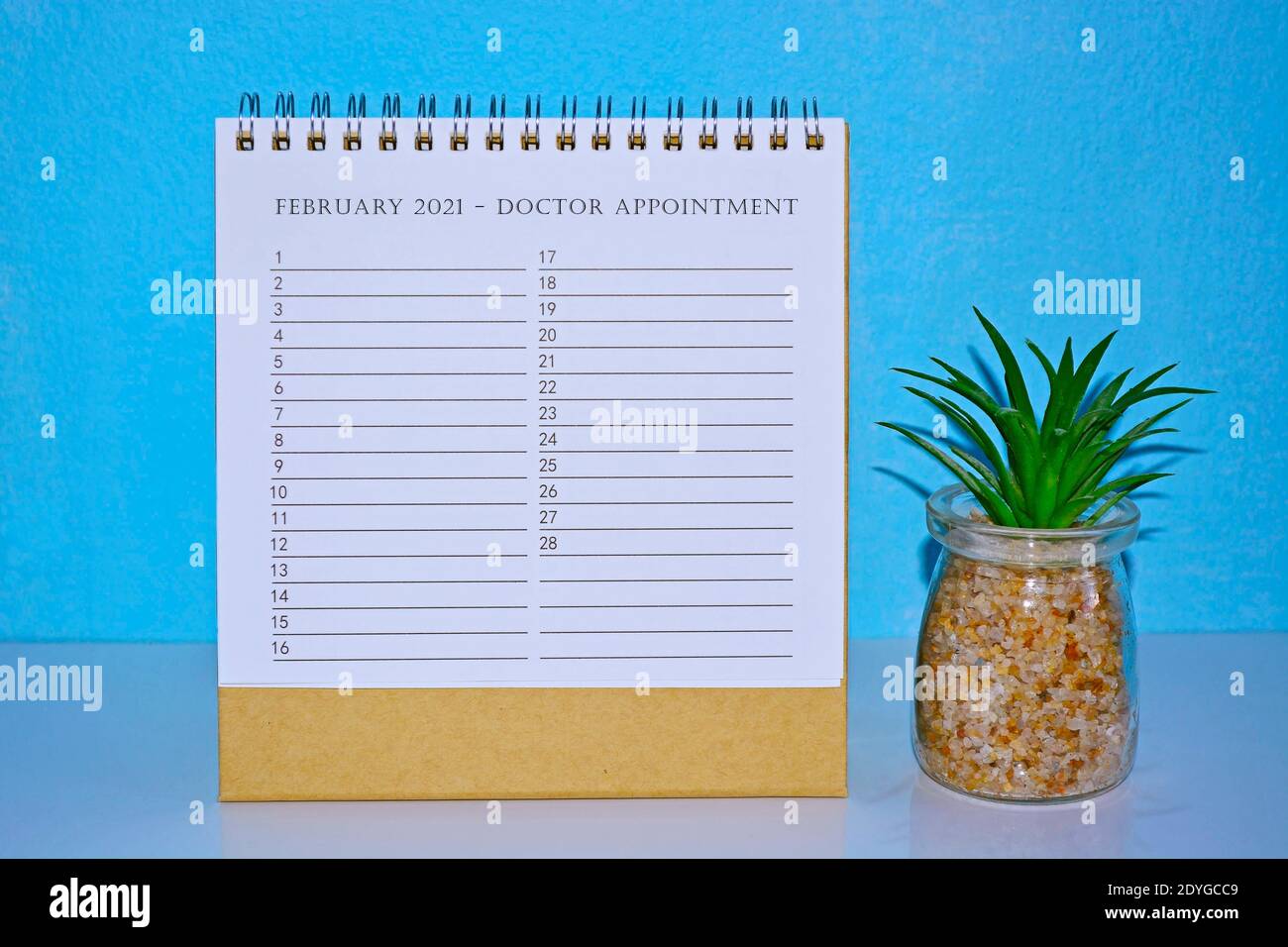 Febrero 2021 Calendario de citas con el médico con fondo azul y la planta en maceta. Foto de stock