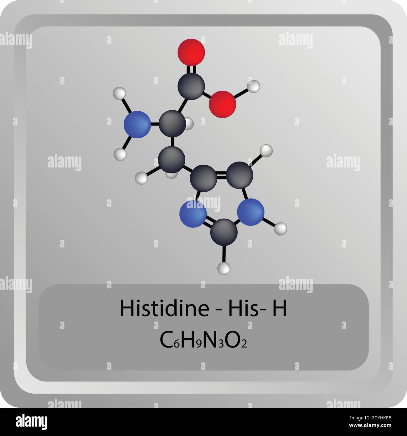 Vectores de histidina vectores fotografías e imágenes de alta