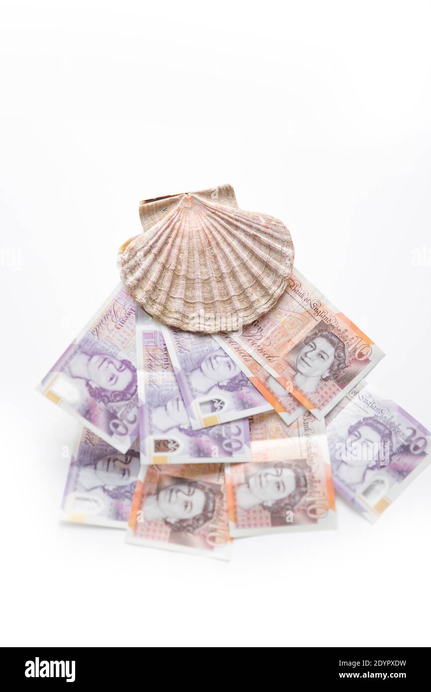 Una concha de rey, P. maximus con notas de diez y veinte libras. Concepto de imagen del Brexit para el valor de la industria pesquera y de mariscos del Reino Unido. Inglaterra Reino Unido GB Foto de stock