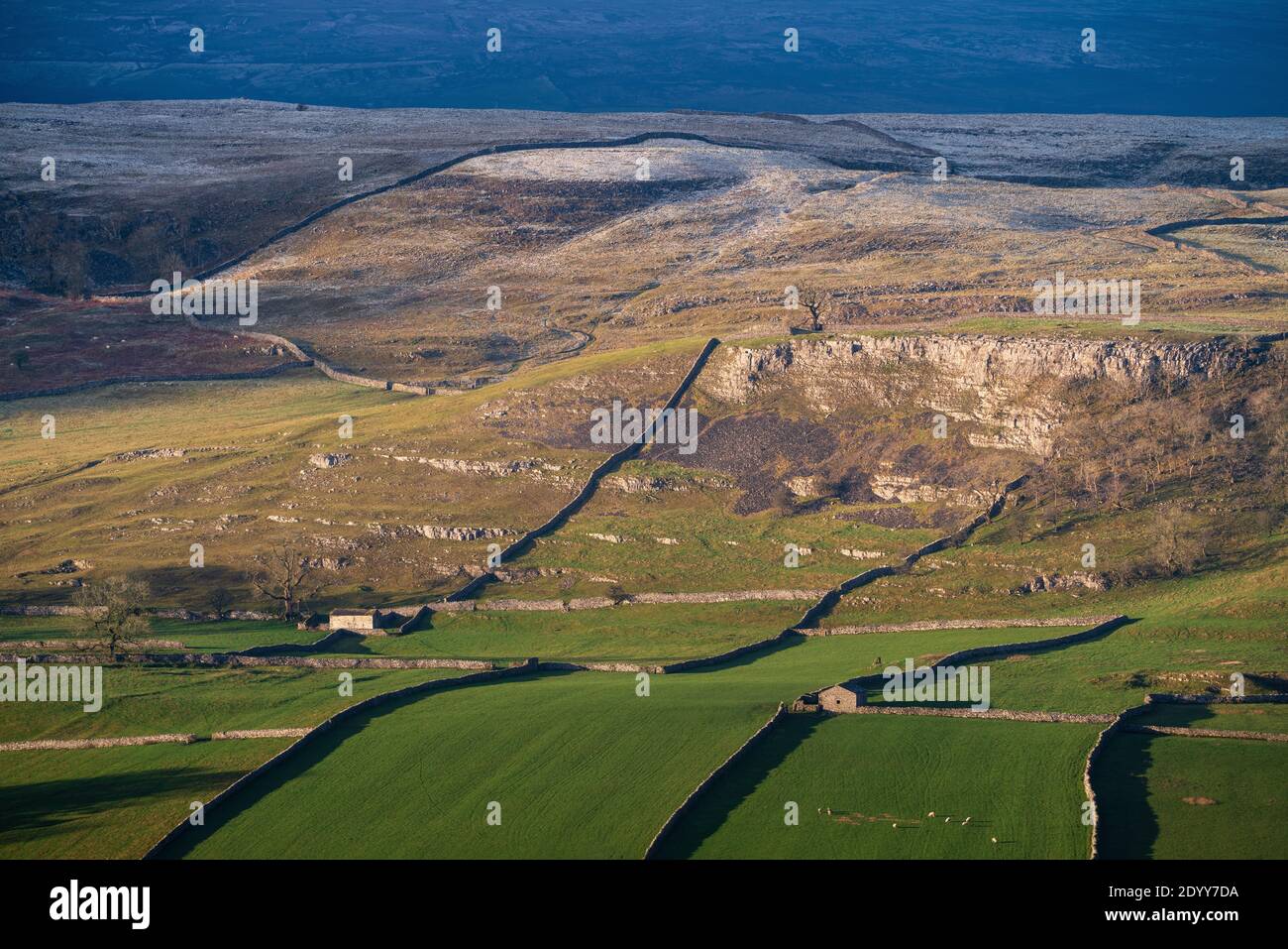 La luz del sol baja del invierno recoge las paredes de piedra seca y los graneros viejos cerca de Langcliffe en los valles de Yorkshire, con la cicatriz imponente de Reinsber levantándose detrás. Foto de stock